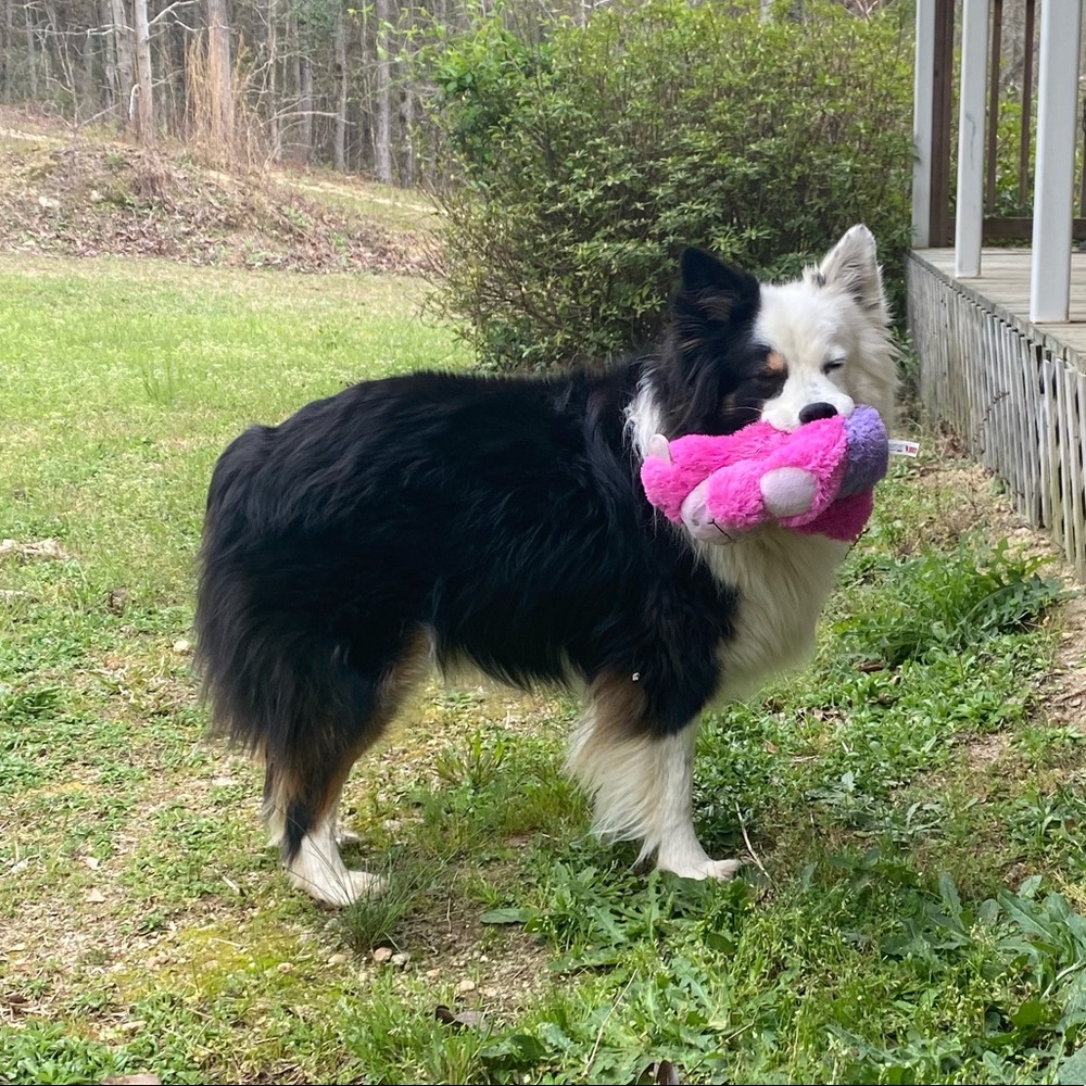 Meet your Posher, Lauren